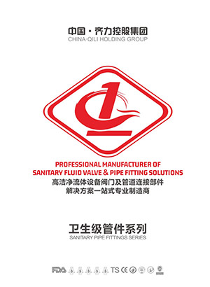 Sanitary grade pipe fittings series